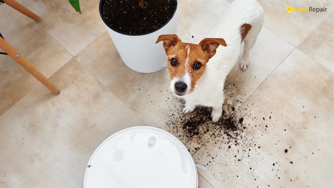 Die besten Saugroboter bei Tierhaaren 2026